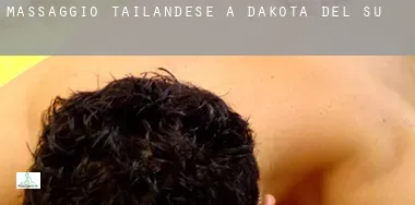 Massaggio tailandese a  South Dakota