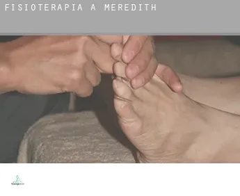 Fisioterapia a  Meredith