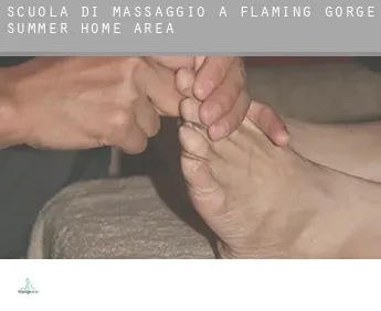 Scuola di massaggio a  Flaming Gorge Summer Home Area