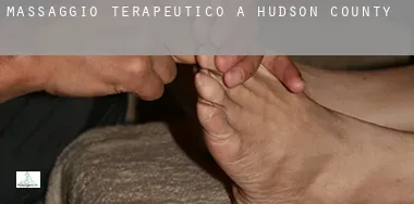 Massaggio terapeutico a  Hudson County