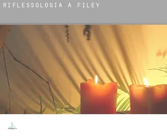 Riflessologia a  Filey