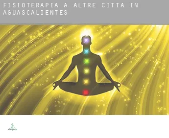 Fisioterapia a  Altre città in Aguascalientes