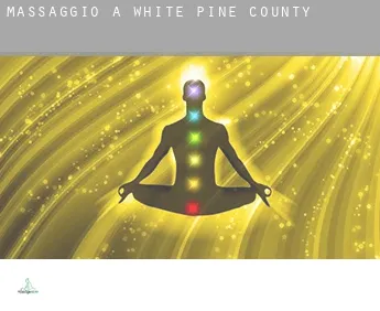 Massaggio a  White Pine County