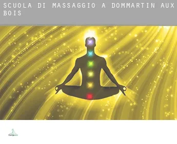 Scuola di massaggio a  Dommartin-aux-Bois