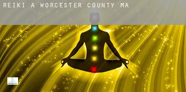 Reiki a  Worcester County