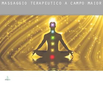 Massaggio terapeutico a  Campo Maior
