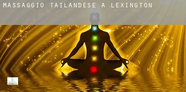 Massaggio tailandese a  Lexington