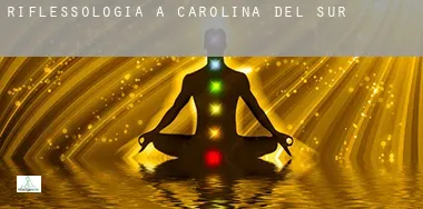 Riflessologia a  Carolina del Sud