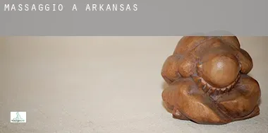 Massaggio a  Arkansas