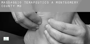 Massaggio terapeutico a Montgomery County