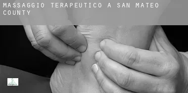 Massaggio terapeutico a  San Mateo County