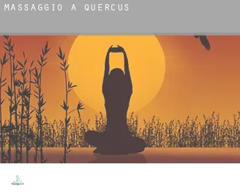 Massaggio a  Quercus