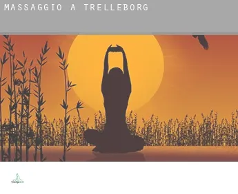 Massaggio a  Trelleborg Municipality