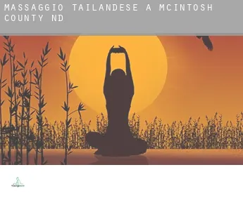 Massaggio tailandese a  McIntosh County