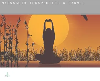 Massaggio terapeutico a  Carmel