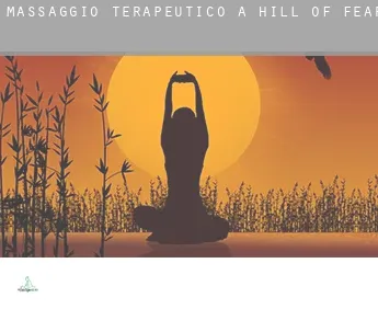 Massaggio terapeutico a  Hill of Fearn