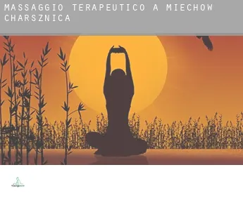Massaggio terapeutico a  Miechów Charsznica