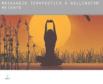 Massaggio terapeutico a Wellington Heights