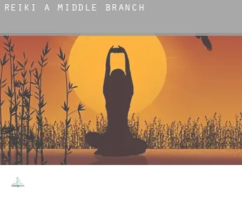 Reiki a  Middle Branch