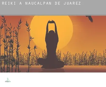 Reiki a  Naucalpan