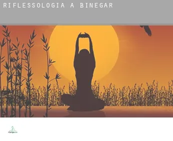 Riflessologia a  Binegar