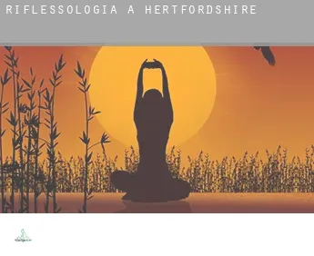 Riflessologia a  Hertfordshire