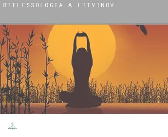 Riflessologia a  Litvínov