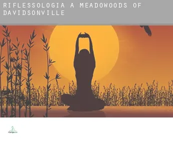 Riflessologia a  Meadowoods of Davidsonville