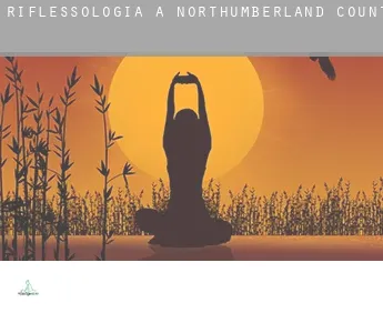Riflessologia a  Northumberland County