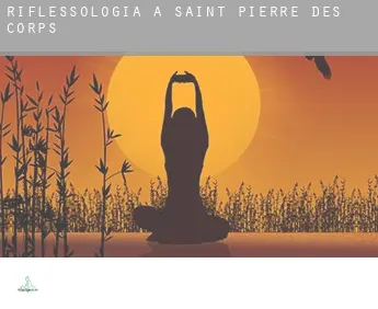 Riflessologia a  Saint-Pierre-des-Corps