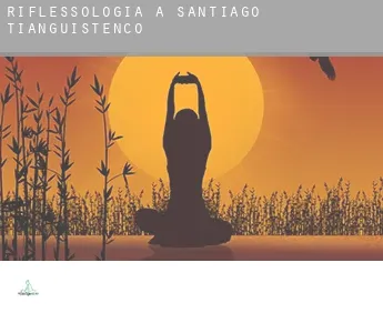 Riflessologia a  Tianguistenco