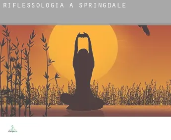 Riflessologia a  Springdale