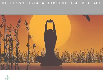 Riflessologia a  Timberleigh Village