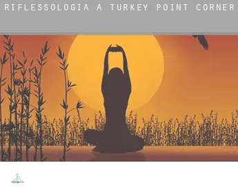 Riflessologia a  Turkey Point Corner
