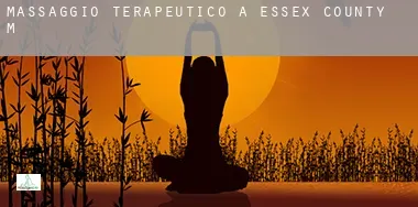 Massaggio terapeutico a  Essex County