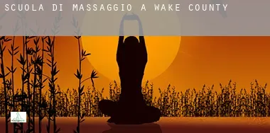 Scuola di massaggio a Wake County
