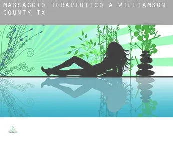 Massaggio terapeutico a  Williamson County