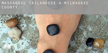Massaggio tailandese a  Milwaukee County