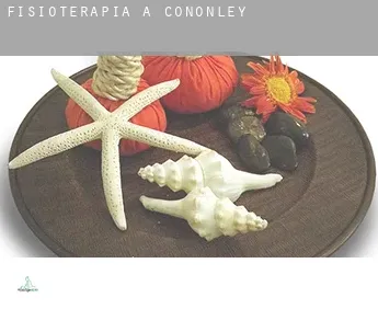 Fisioterapia a  Cononley