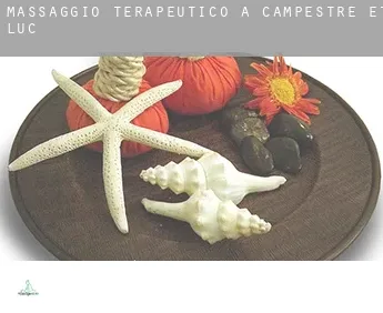 Massaggio terapeutico a  Campestre-et-Luc