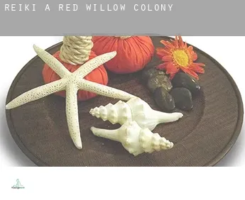 Reiki a  Red Willow Colony
