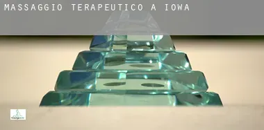 Massaggio terapeutico a Iowa