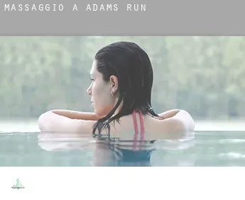 Massaggio a  Adams Run