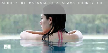 Scuola di massaggio a  Adams County