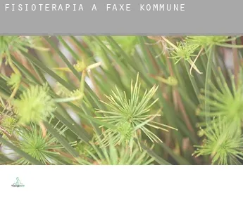 Fisioterapia a  Faxe Kommune