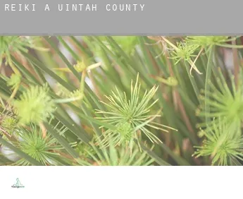 Reiki a  Uintah County