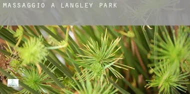 Massaggio a  Langley Park