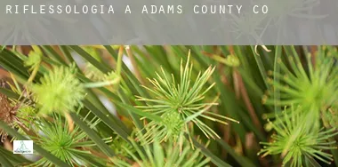 Riflessologia a  Adams County