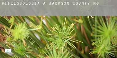 Riflessologia a  Jackson County