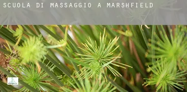 Scuola di massaggio a  Marshfield